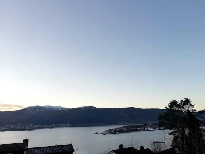 Cozy, Inspiring Apartment!!! Ålesund Exteriör bild